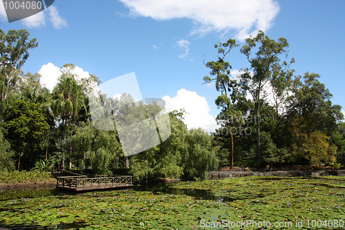 Image of Brisbane Botanical Gardens