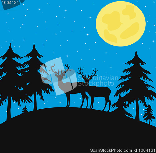 Image of Night wood with wild deer