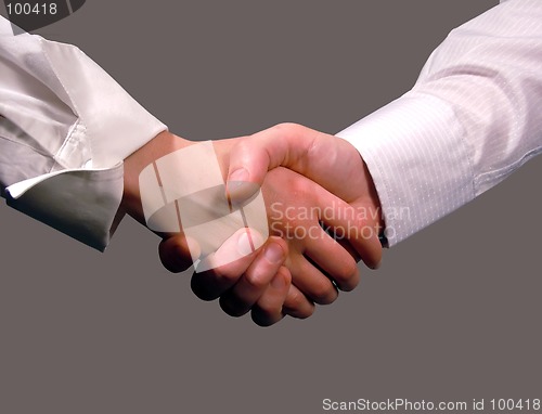 Image of Business handshake ,woman and man