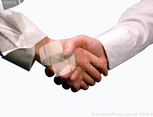 Image of Business handshake ,woman and man