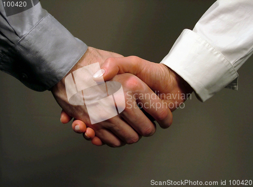 Image of Business handshake ,woman and man