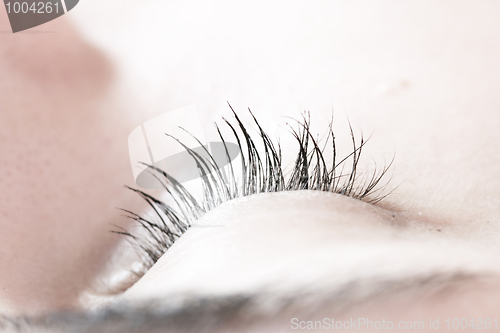 Image of Beautiful young woman sleeping.