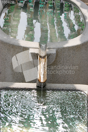 Image of Water garden