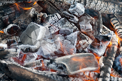 Image of Campfire burning coal