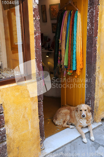 Image of Dog at the Gift Shop Entrance