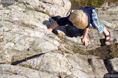 Image of Climbing boy