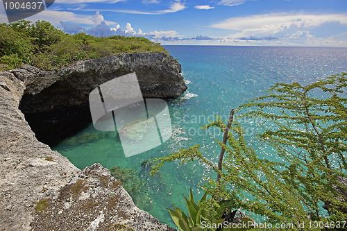 Image of Turquoise Curacao