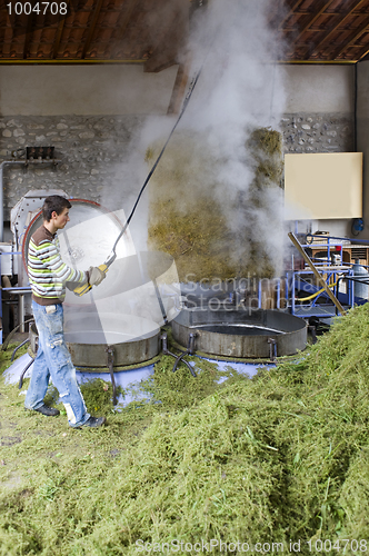Image of Herbal essences distillery