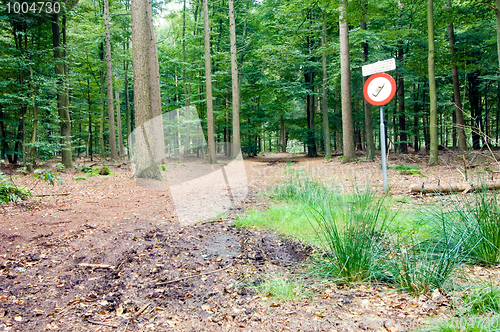 Image of No Cell phone area