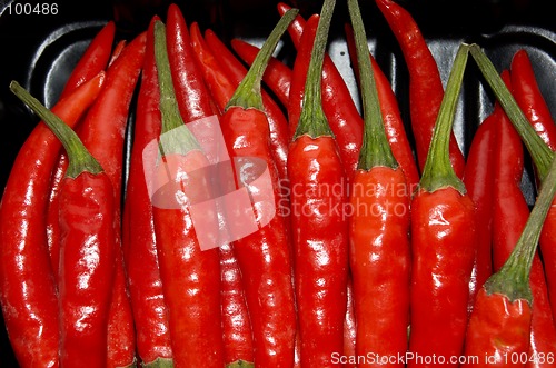 Image of RED HOT Chilis