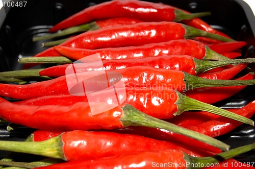 Image of RED HOT Chilis