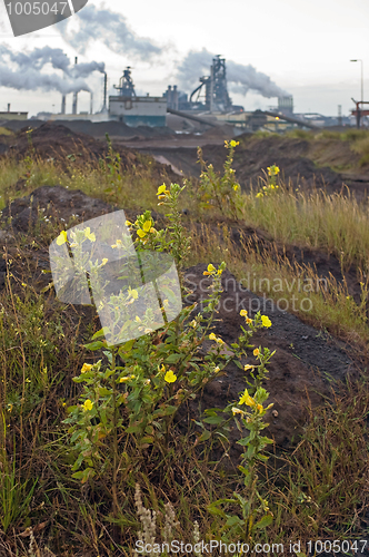 Image of Nature and industry