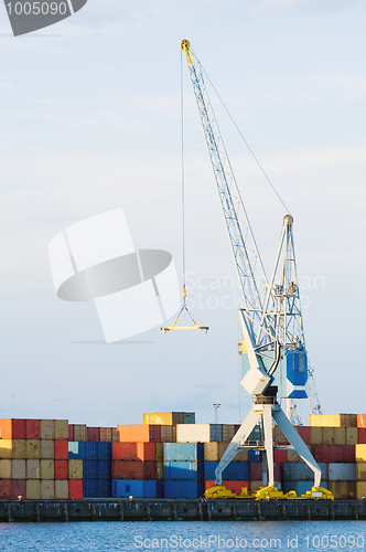 Image of Crane