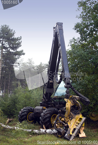 Image of Wood cutter