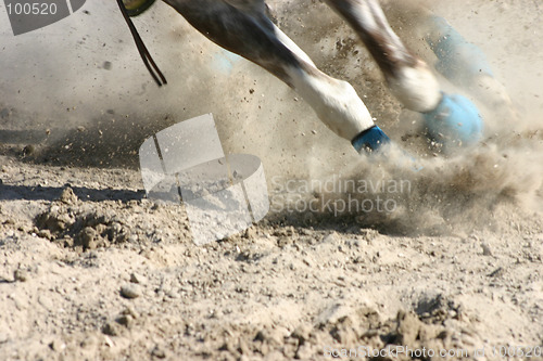 Image of Horse Feet Racing