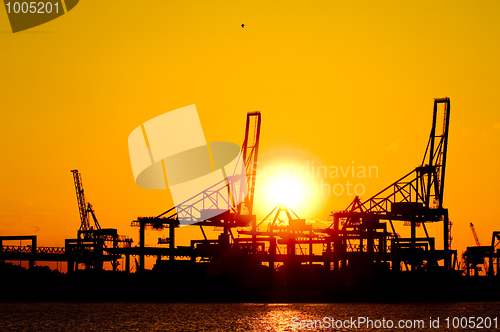 Image of Cranes at sunset