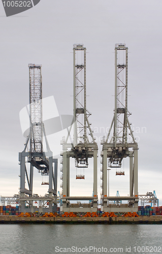 Image of Three Cranes