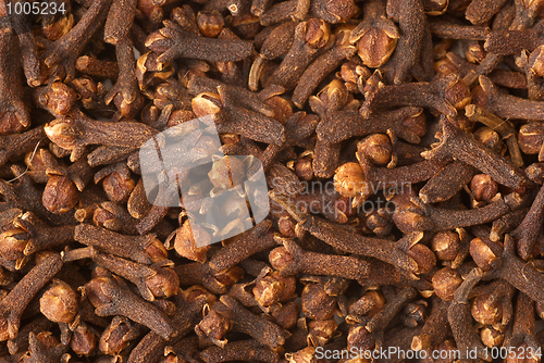 Image of Cloves