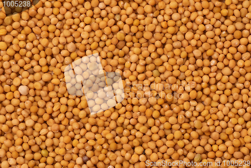 Image of Mustard seeds