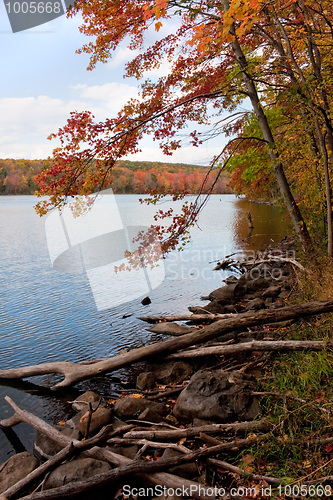 Image of New England Fall Foliage