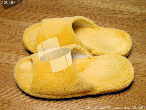 Image of Plush slippers