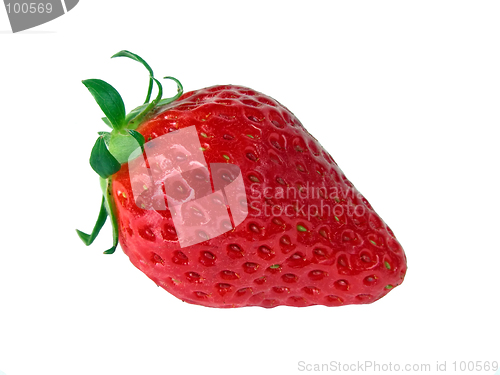 Image of Strawberry