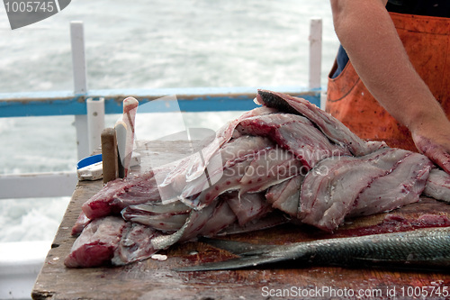 Image of Fisherman Cleaning Blue Fish