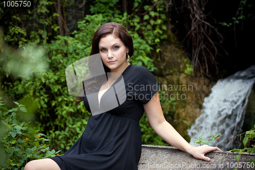 Image of Attractive Brunette