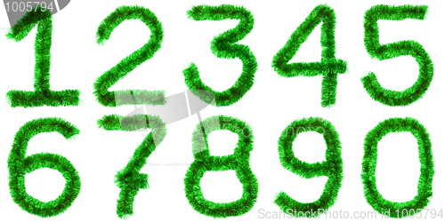 Image of Green digits