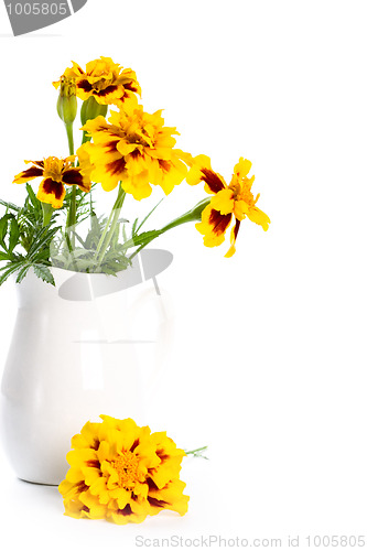 Image of marigold flowers in vase