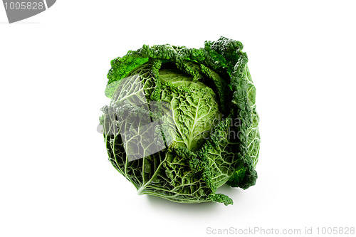 Image of fresh savoy cabbage