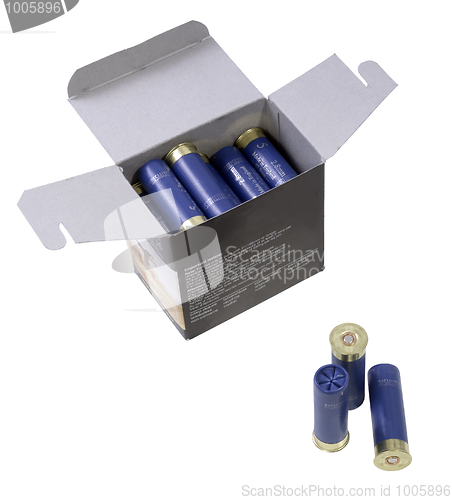 Image of Shotgun shells in a box