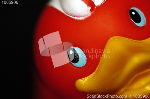 Image of Rubber Racing Duck