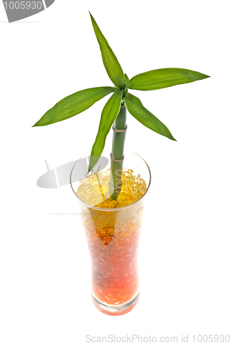 Image of Glass jar with bamboo 