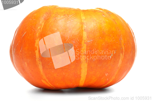 Image of Single fresh pumpkin