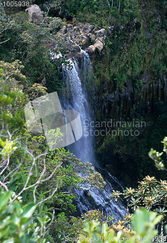 Image of Waterfall in forest, Mauritius Island, Indian Ocean