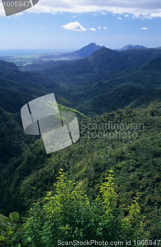 Image of Black river gorge Mauritius Island