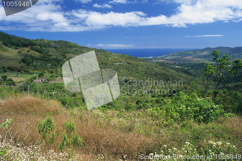 Image of Wild landscape in south of Mauritius Island