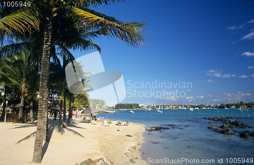 Image of Palm trees on Grand Baie beach Mauritius Island