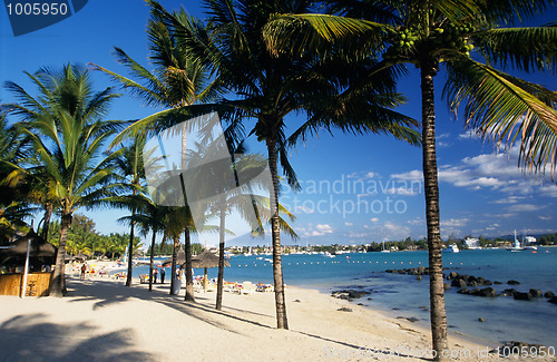 Image of Palm trees on Grand Baie beach at Mauritius Island