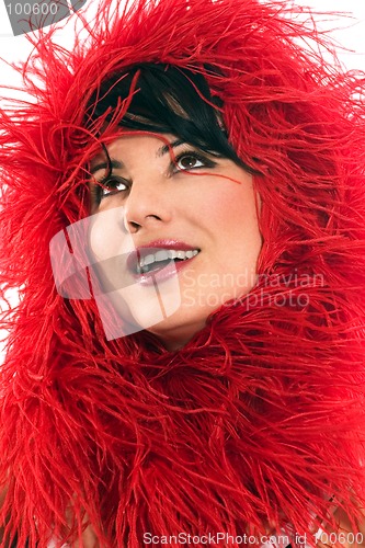 Image of Red Vogue