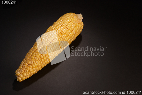 Image of Corn on the cob