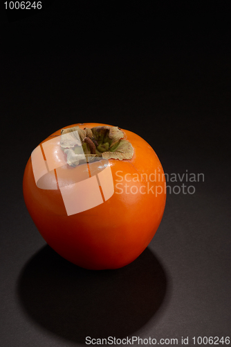 Image of Persimmon