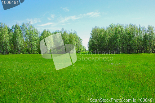 Image of Spacious meadows 