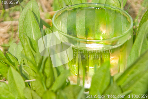 Image of spring water