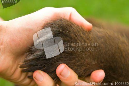 Image of Hand shake