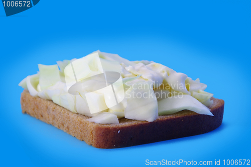 Image of Vegetarian sandwich