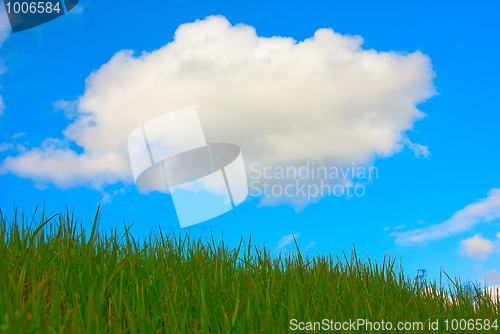 Image of Summer landscape