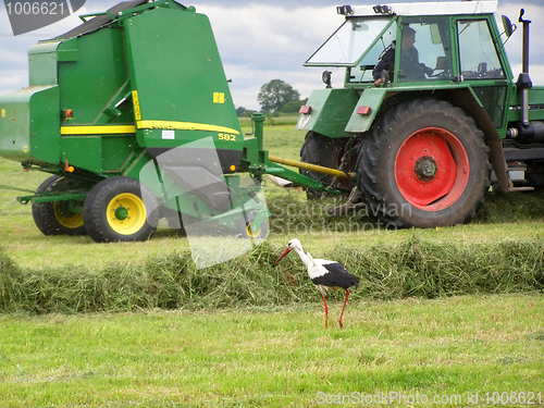 Image of Hay gathering 5