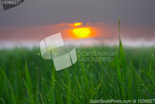 Image of sunset & macro